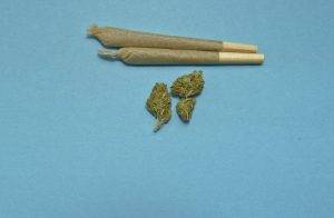 Criminal Defense Blog 14 possession of marijuana lawyer
